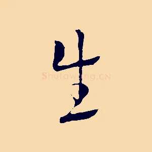 生