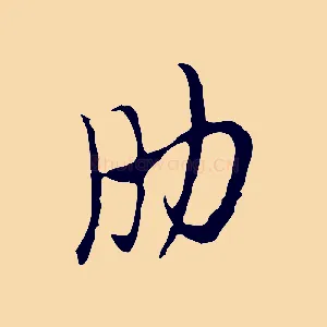 肋