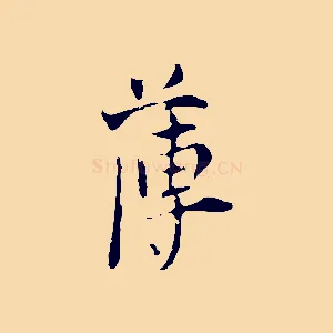 薄