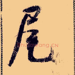 尾