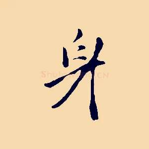 身