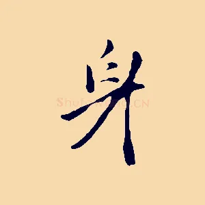 身