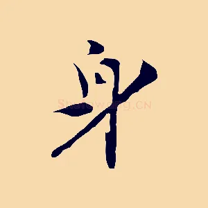 身