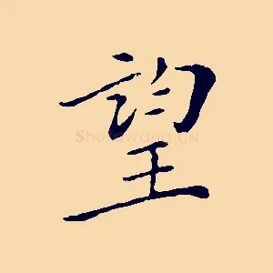望