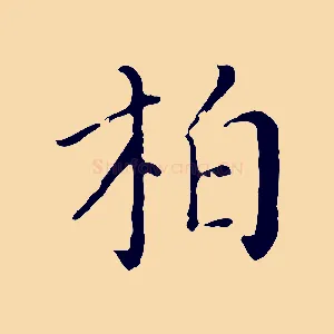 柏