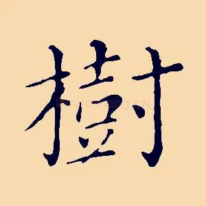 樹