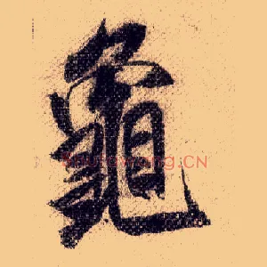 龟