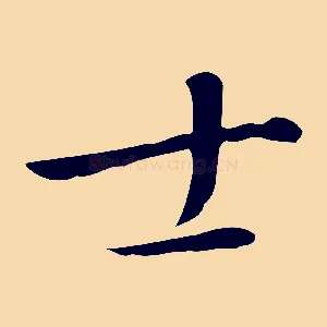 士