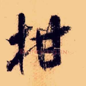 柑