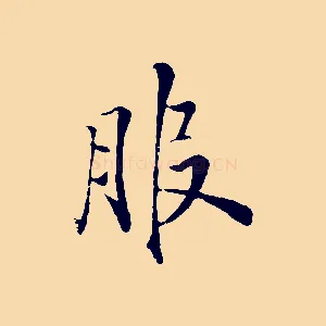 服