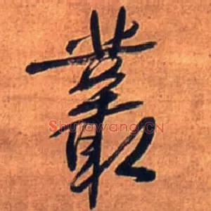 丛