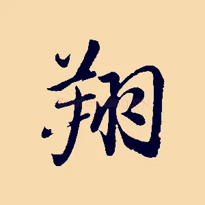 翔
