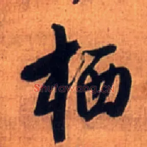 栖