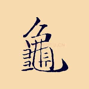 龜