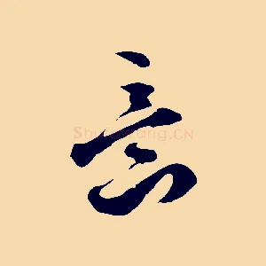 意