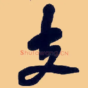 支