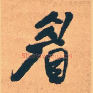 眉