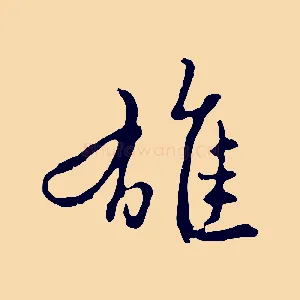 雄