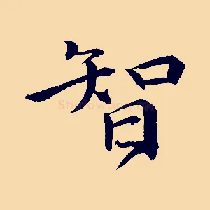 智