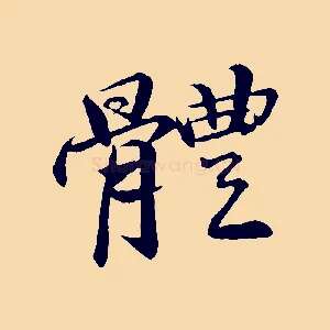 體