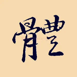 體