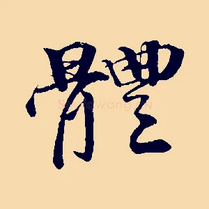體