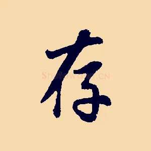 存