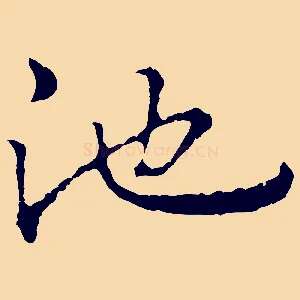 池