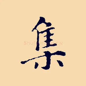 集