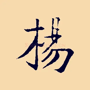 楊