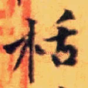 栝
