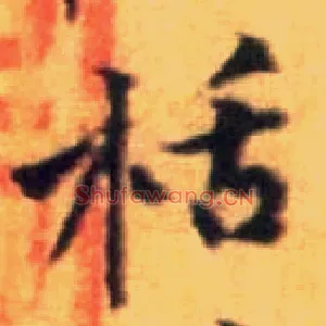 栝
