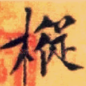 枞