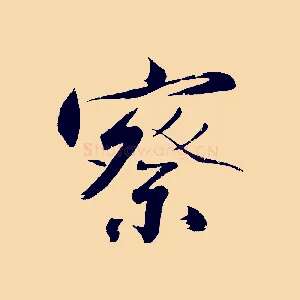 察