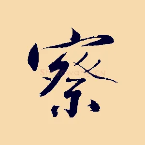 察