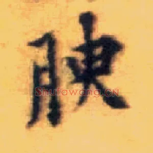 腴