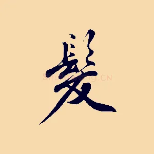 髮