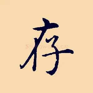 存