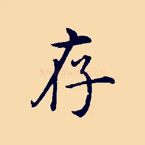 存