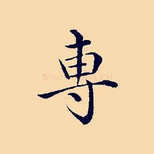專