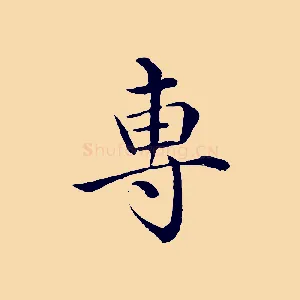 專
