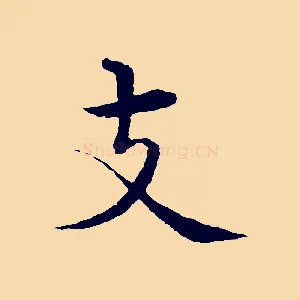 支
