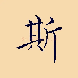 斯