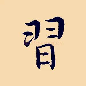 習