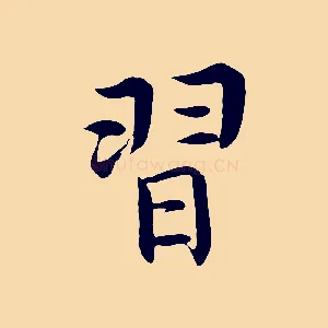 習