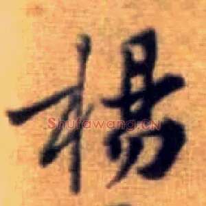 杨