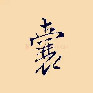 囊