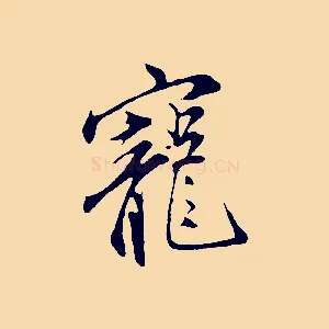 寵