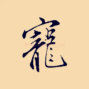 寵