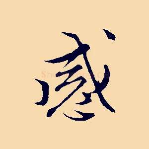 感